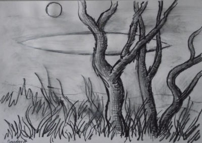 1987 Derrière les arbres Crayon sur papier 37x26cm